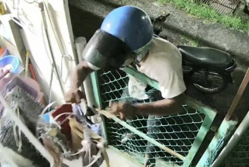 A woman lodged a police report yesterday, claiming that her undergarments had gone missing from the clothesline outside her house. - Screengrab from viral video
