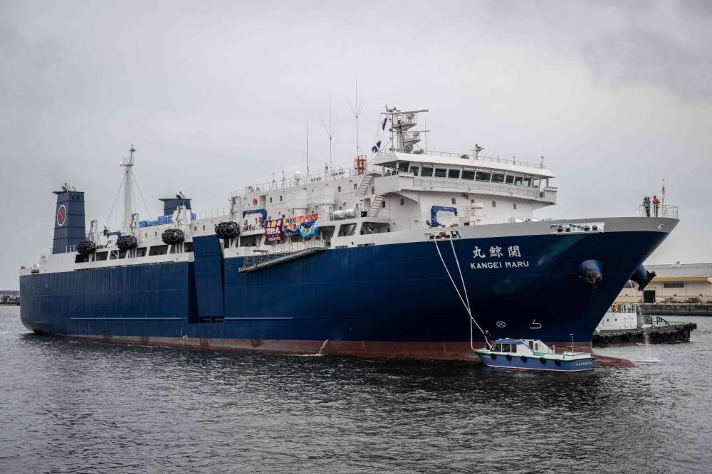 Japan's new whaling mothership, the Kangei Maru. Photo by Yuichi Yamazaki/AFP