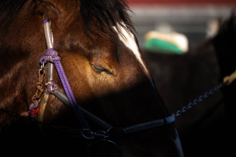 Photo for illustration purpose only. - File photo by AFP