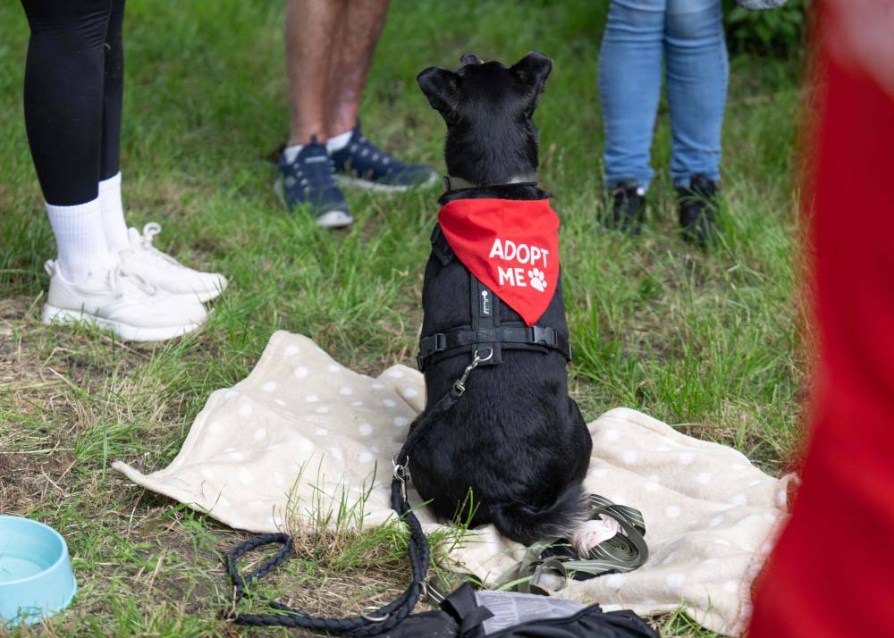 Photo for illustration purpose only. (Photo by Joe Klamar / AFP)