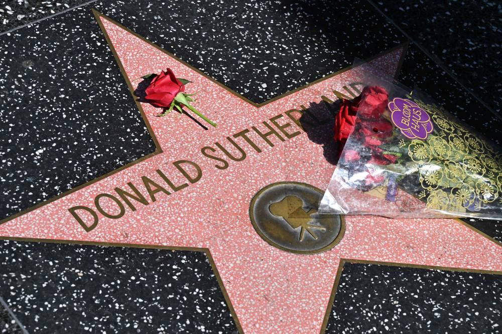 Flowers are placed on the star of late Canadian actor Donald Sutherland on the Hollywood Walk of Fame. Photo by Robyn Beck/AFP