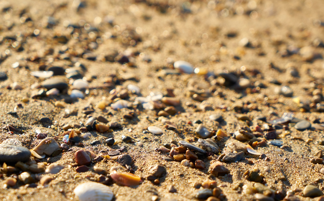 Lurking everywhere, from our food to our skin, microplastics are invading our bodies. - Photo by 123RF