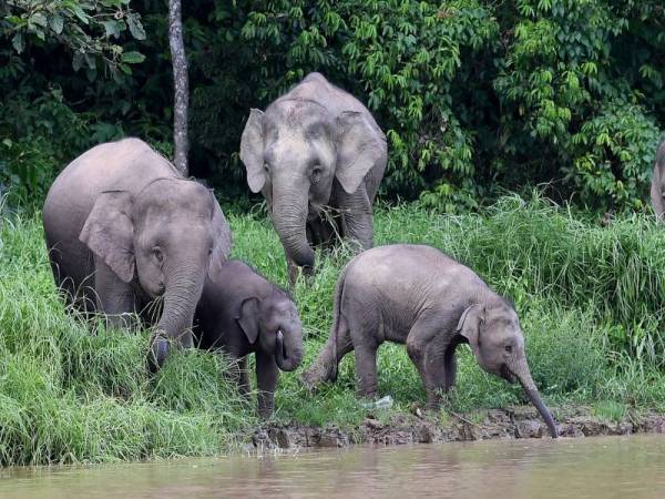 Photo for illustrative purposes only.