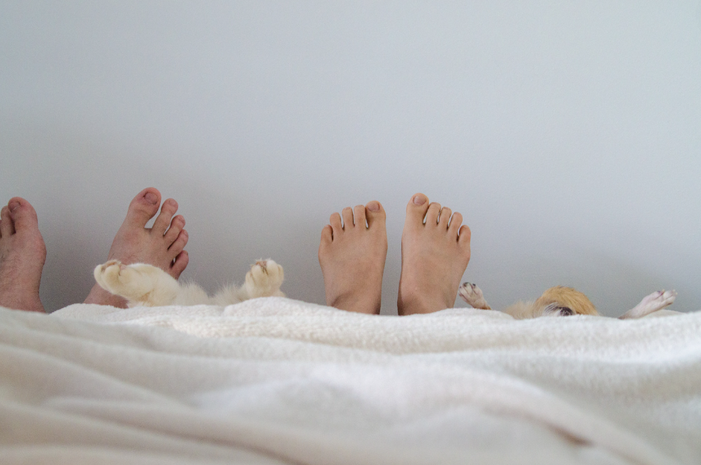 Photo for illustration purpose only. - Photo credit: Olga Kan/Getty Images/Canva