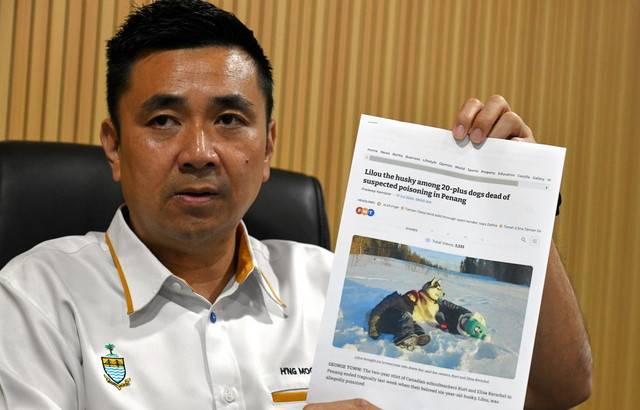 State Local Government, Town and Country Planning Committee chairman H'ng Mooi Lye presenting a report published by an online news portal about more than 20 dogs being killed by poison in Penang during a press conference at Komtar today. - Photo by Bernama