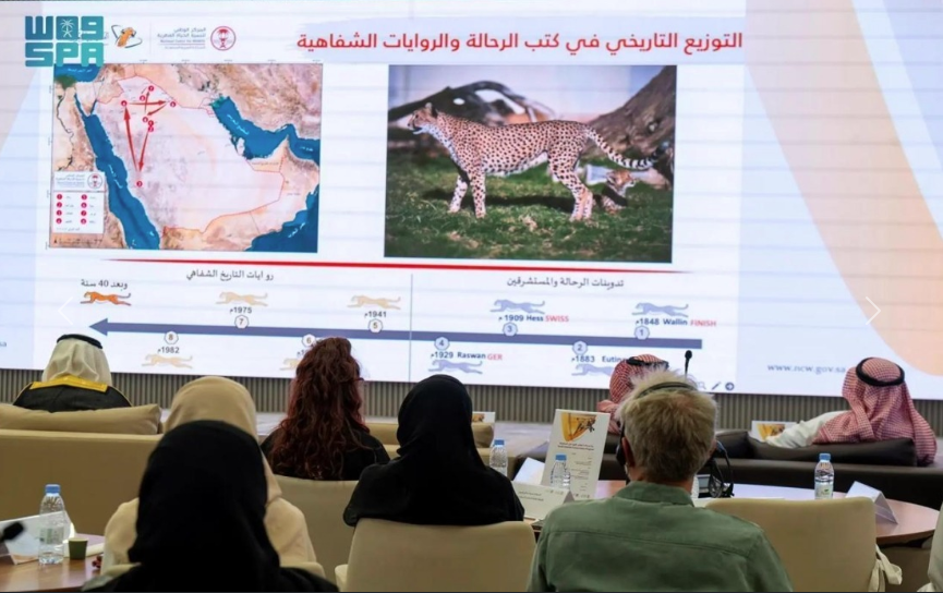 This event coincides with the launch of the National Cheetah Conservation Strategy, a key initiative led by the Minister of Environment, Water and Agriculture, Abdulrahman AlFadley. - Photo credit: Saudi Press Agency/Bernama