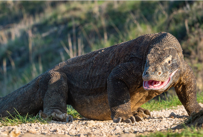 Photo for illustration purpose only. - Photo credit: USO/Getty Images/Canva