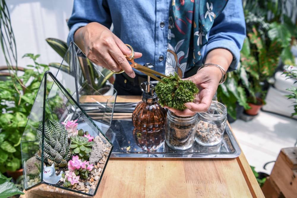 A terrarium is an indoor plant decoration in a sealable or open glass container with plants and soil inside. Photo by Bernama