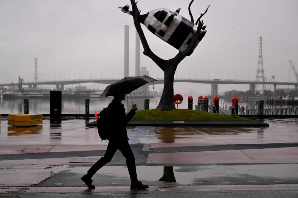 A man walks past a sculpture titled Cow Up a Tree by artist John Kelly on a rainy day in Melbourne on July 29, 2024. - Photo by AFP