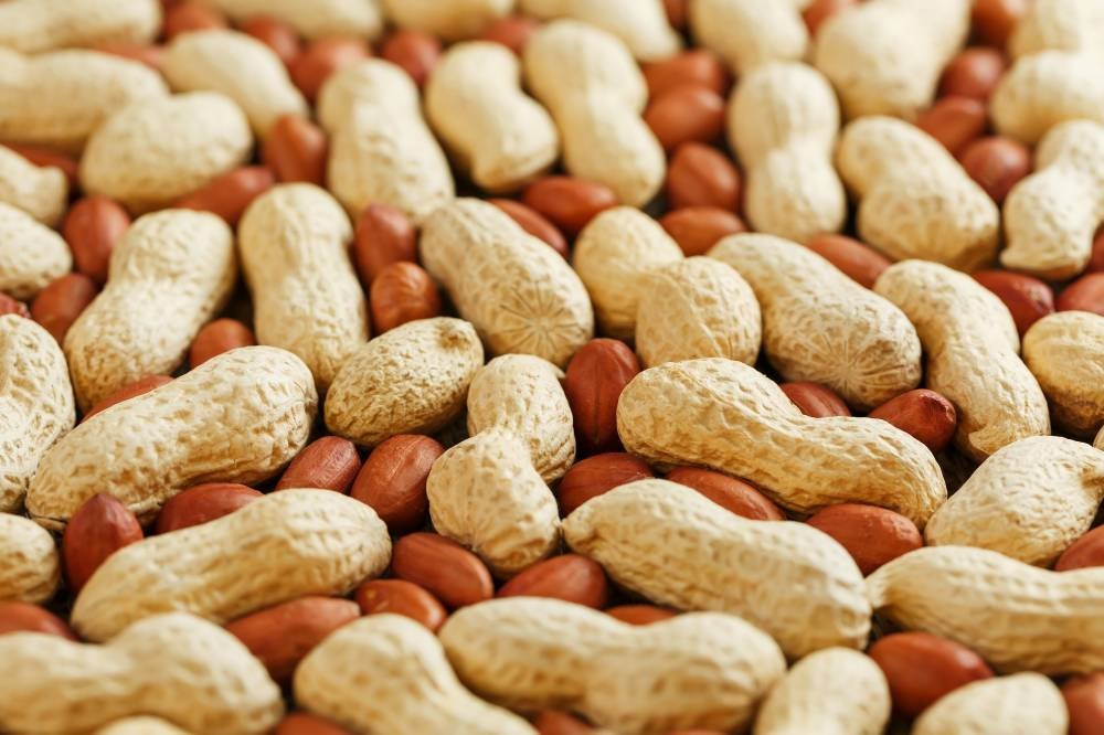 Photo for illustration purposes only. - 123RF