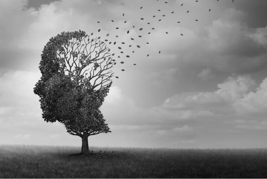 Photo for illustration purpose only. - Photo by wildpixel/Getty Images Pro/Canva