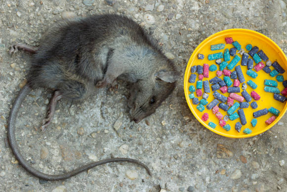 Photo for illustrative purposes only - 123RF