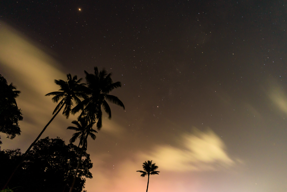 Photo for illustration purpose only. - Photo credit: ©OJO from Getty Images Pro/Canva