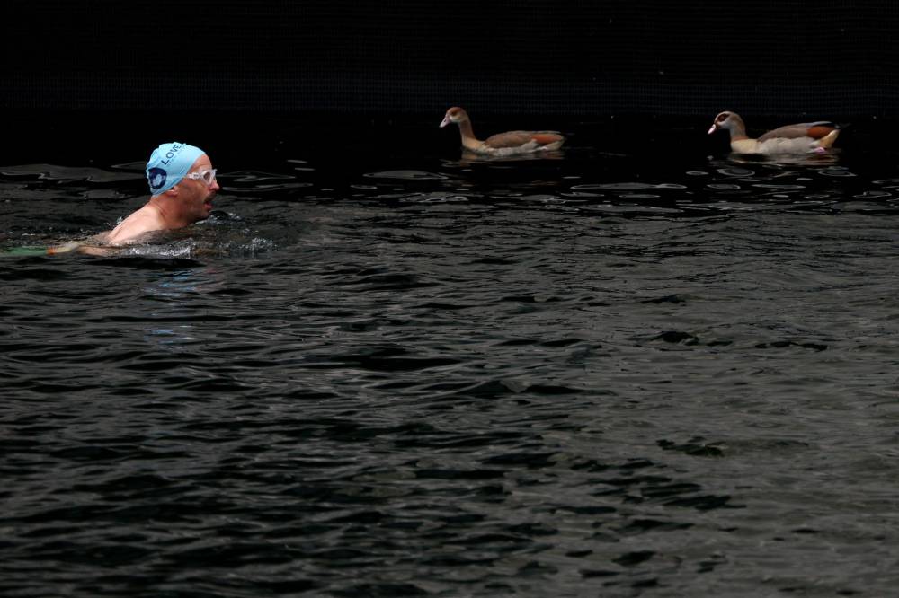 A person swims past ducks in the Middle Dock of Canary Wharf in east London, on August 12, 2024. (Photo by AFP)