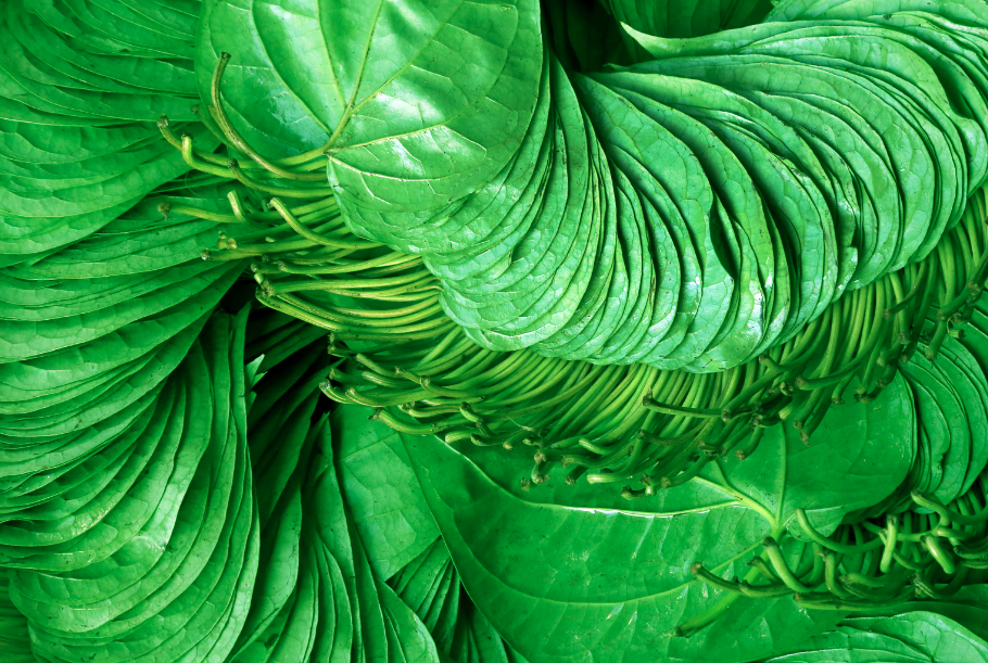 This age-old tradition has been practised by their ancestors for hundreds of years, but now only a small segment of the Orang Asli community continues to uphold it. - Photo illustration via Canva/bdspnimage