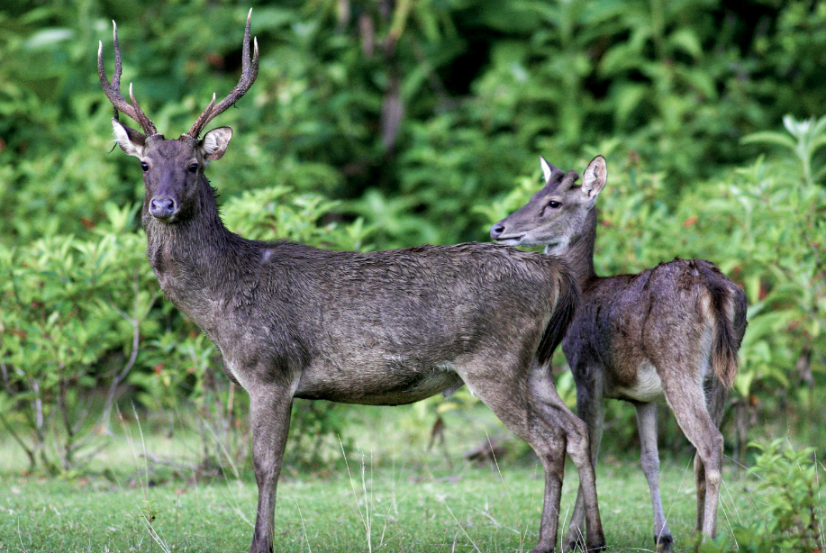 Photo for illustration purpose only. - Photo credit: pkphotoscom from Getty Images/Canva