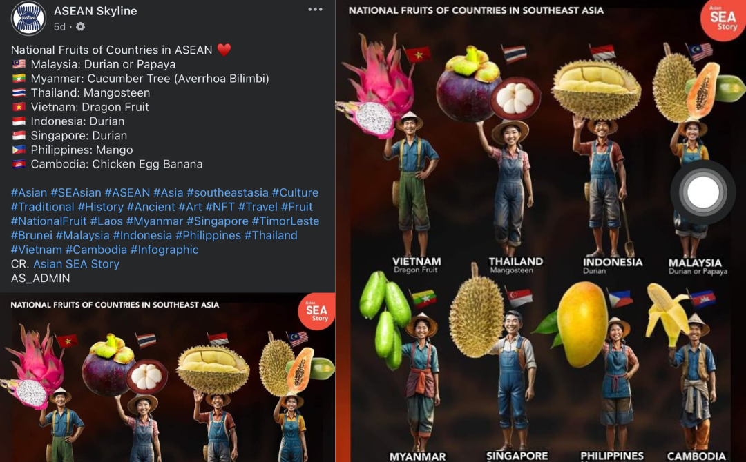 A recent social media post by their official Facebook account, ASEAN Skyline posted a list of ‘National Fruits of Countries in Southeast Asia’ leading to surprise among Malaysians. - FB: ASEAN Skyline