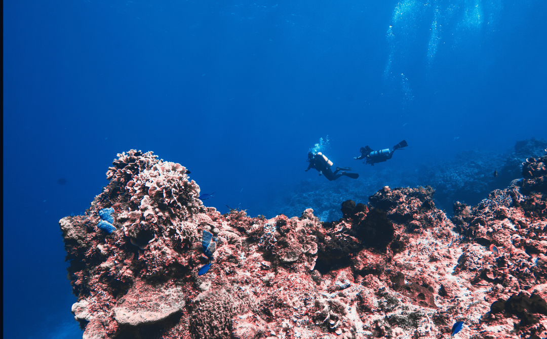 Photo for illustrative purposes only.