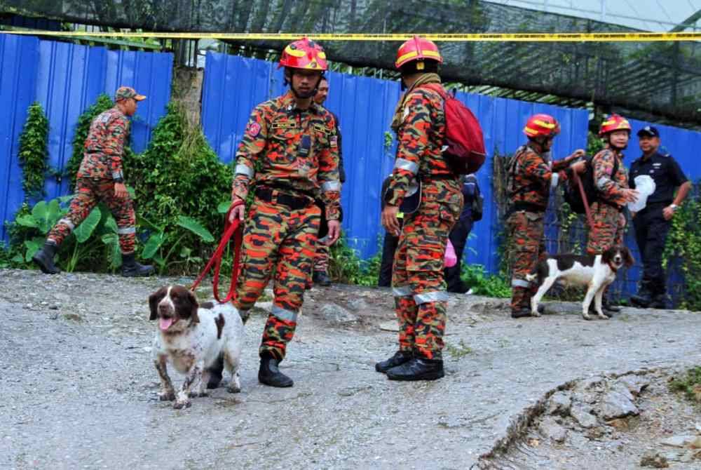 Frankie (left). FILE PIX