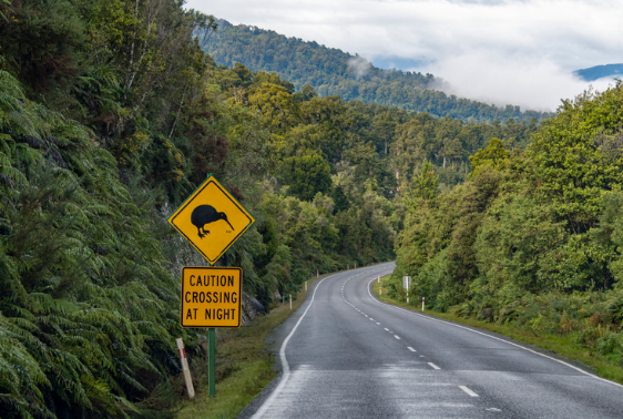 Photo for illustration purpose only. - Photo credit: tobiasjo/Getty Images/Canva