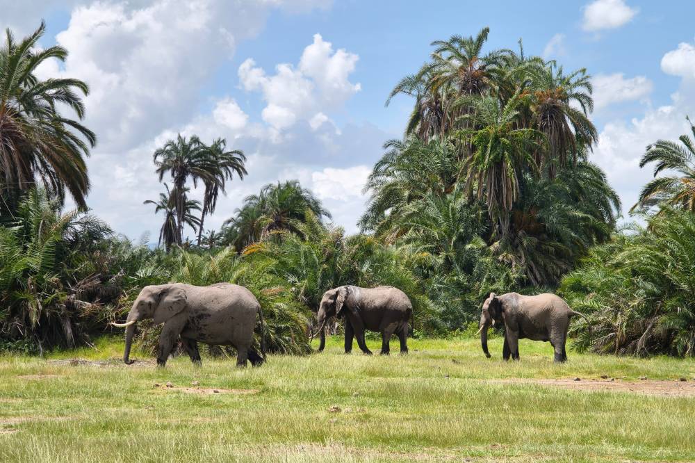 Photo for illustration purposes only. - 123RF