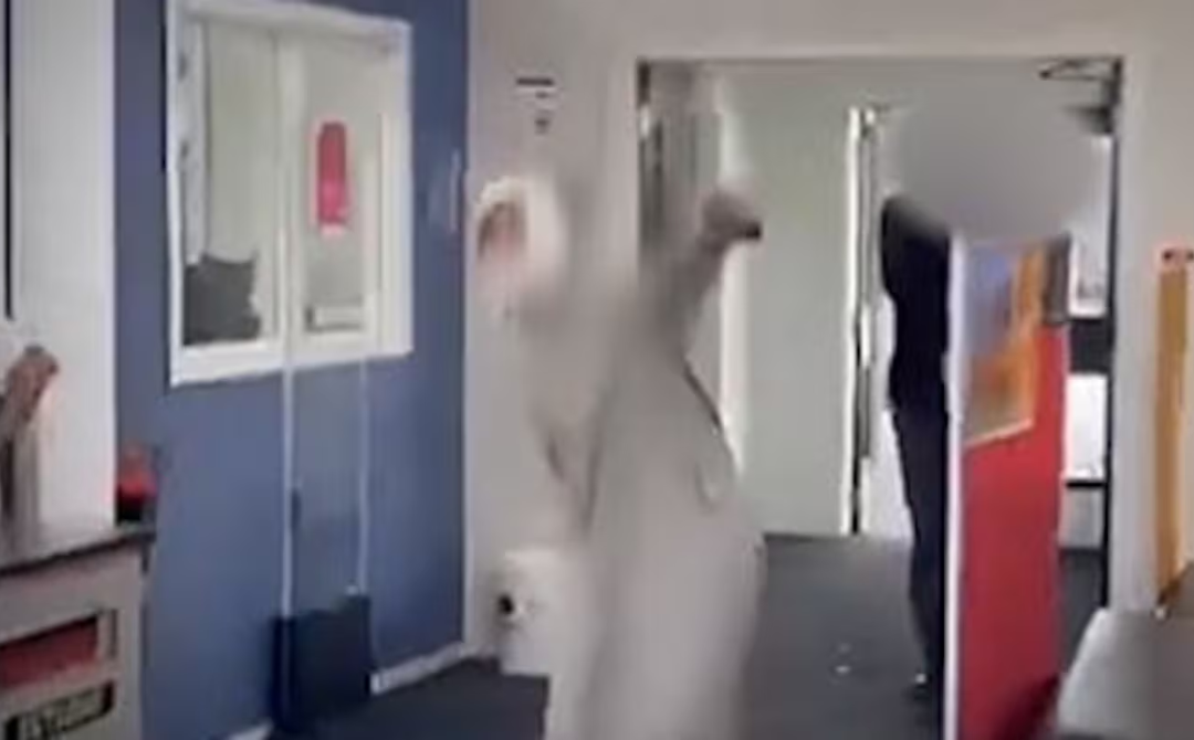 The stunt, which has amassed over two million views, shows a student entering the library in a white headscarf and thawb, shouting 'Allahu Akbar,' before throwing a backpack and running out, mimicking a suicide bomber. - Photo source: NZ Herald