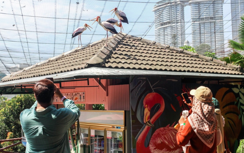 Photo for illustration purpose only. - Photo by Bernama