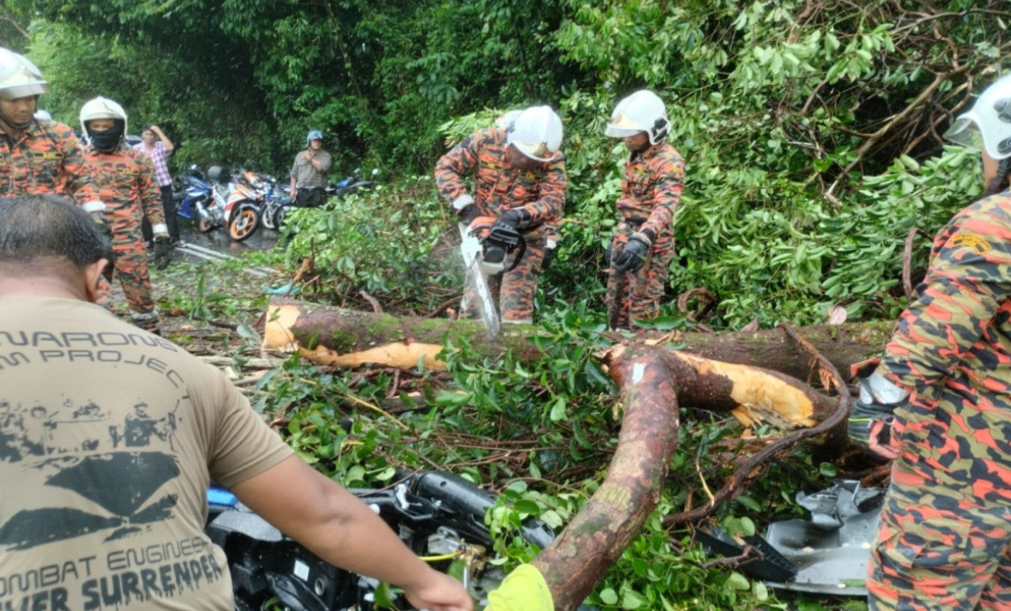 Two people were seriously injured when a tree fell on a car and motorcycle in an accident in Jalan Kamunting, Taman Glen View, near Kamunting today. Photo courtesy of the Fire and Rescue Department