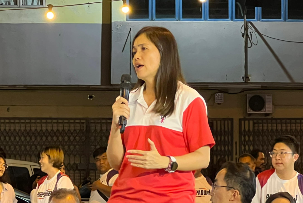 Teo Nie Ching - Photo by Kousalya Selvam/Sinar Daily