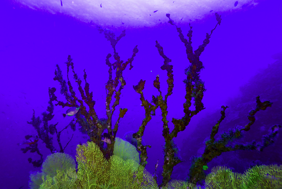 Photo for illustration purpose only. - Photo illustrated by Bernama