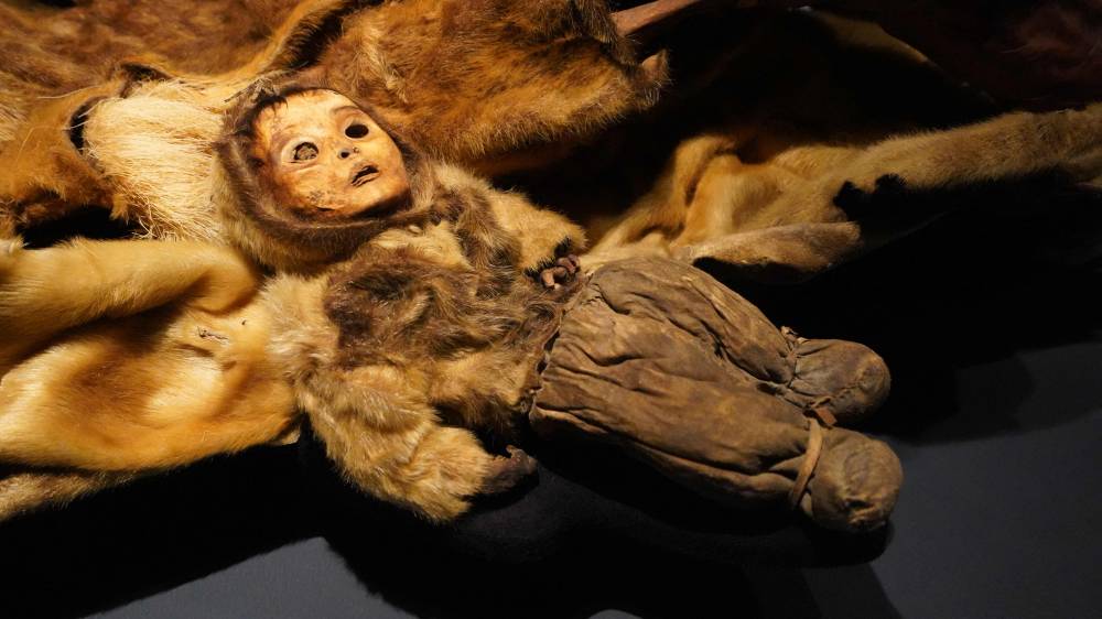 Qilakitsoq mummies are on display at Greenland National Museum in Nuuk, Greenland on August 29, 2024. - Photo by AFP