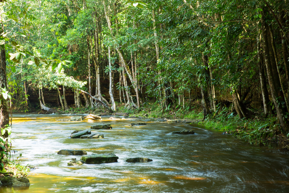 Photo for illustration purpose only. - Illustrated by Sinar Daily