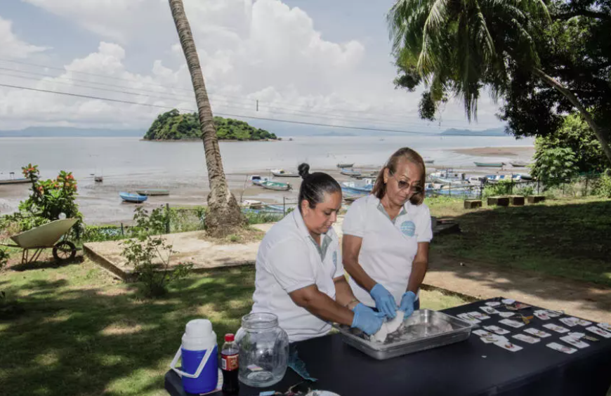 The all-female cooperative 'Piel Marina' (Marine Skin) turns fish skins into sustainable fashion items. Photo by AFP