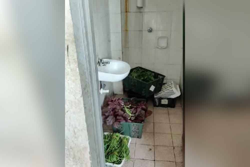 A provision shop run by a foreigner was found to have committed various offences, including storing vegetables for sale in the premises’ toilet.