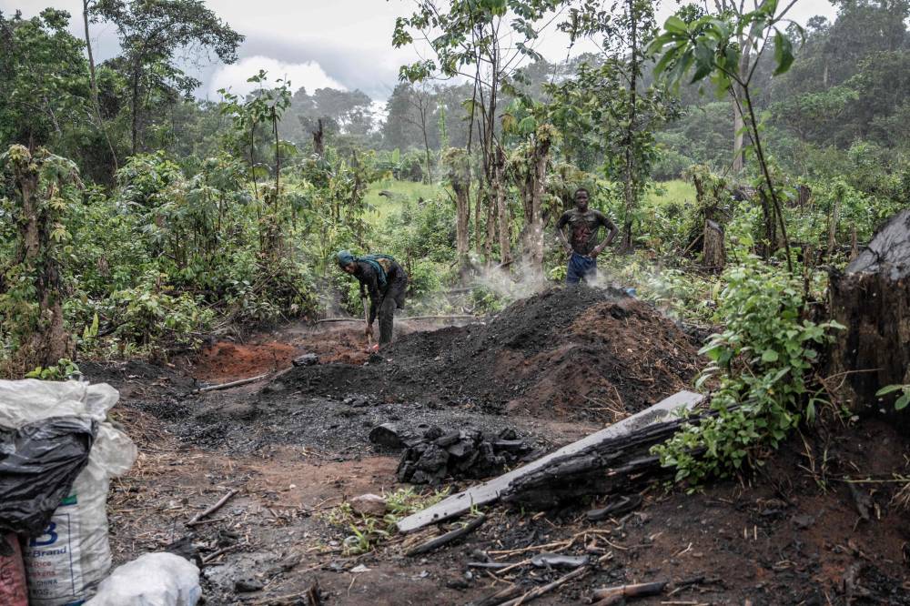 A young man and his brother from a nearby community prepare charcoal amid a deforested clearing in the Kambui Hills Forest Reserve on September 25, 2024. - Photo by AFP