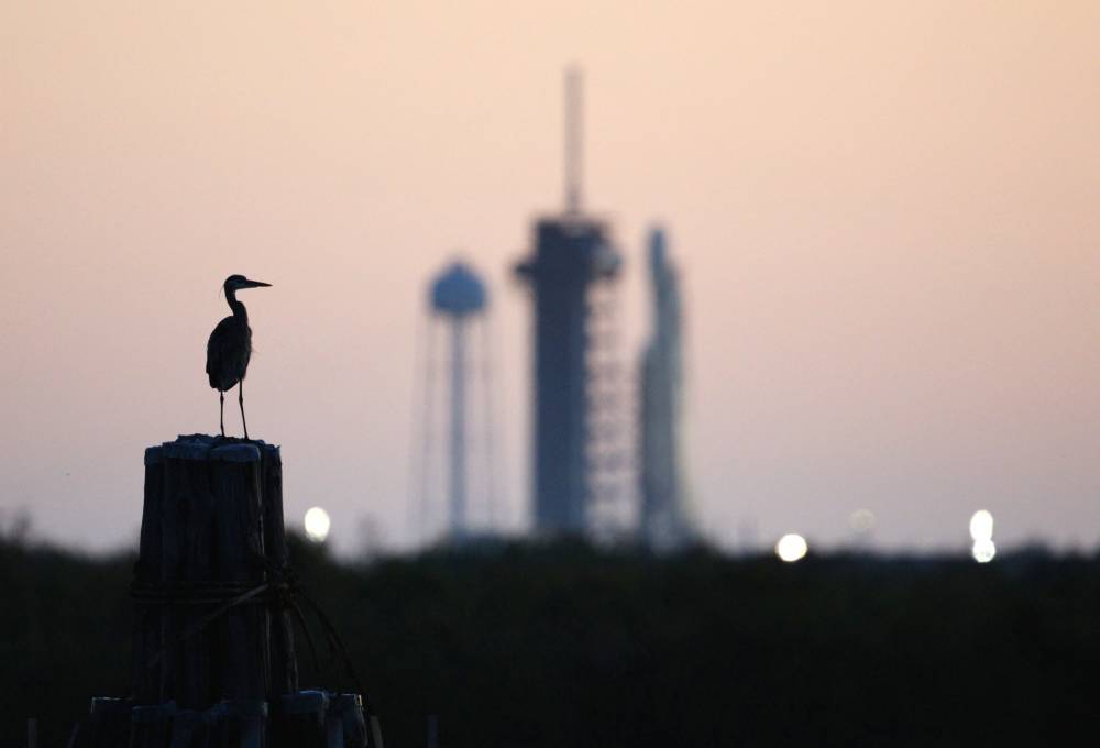 A snowy egret sits atop a perch in the Turning Basin overlooking launch pad 39A and a SpaceX Falcon Heavy rocket with the Clipper spacecraft at dawn at the Kennedy Space Centre in Florida on October 14, 2024. - Photo by AFP
