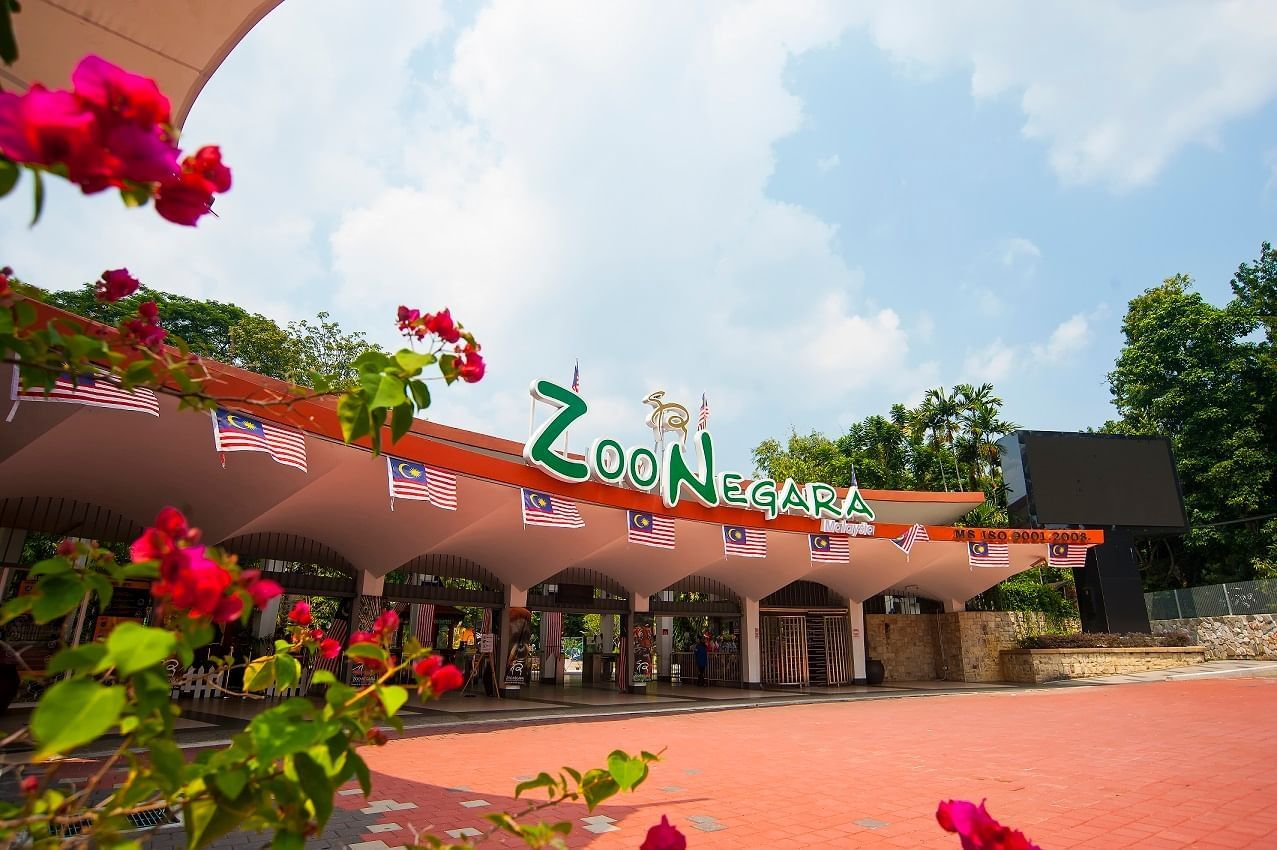 Cleaning efforts were completed on the same day, and the zoo reopened as usual yesterday.