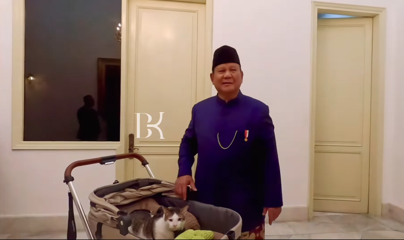 Bobby Kertanegara, the beloved cat of Indonesia’s President Prabowo Subianto, has officially moved into the Presidential Palace on Monday. Photo: Instagram @bobbykertanegara 