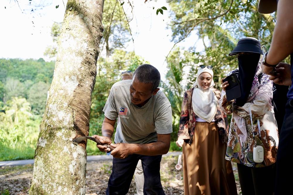 Rubber tapping. Photo: Islamic Tourism Centre