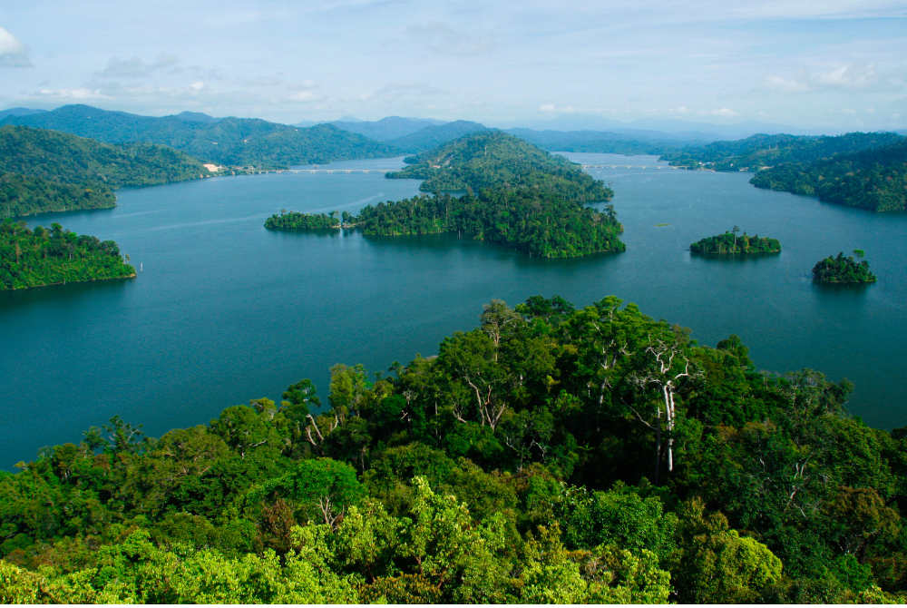 Royal Belum Rainforest. Photo: Canva