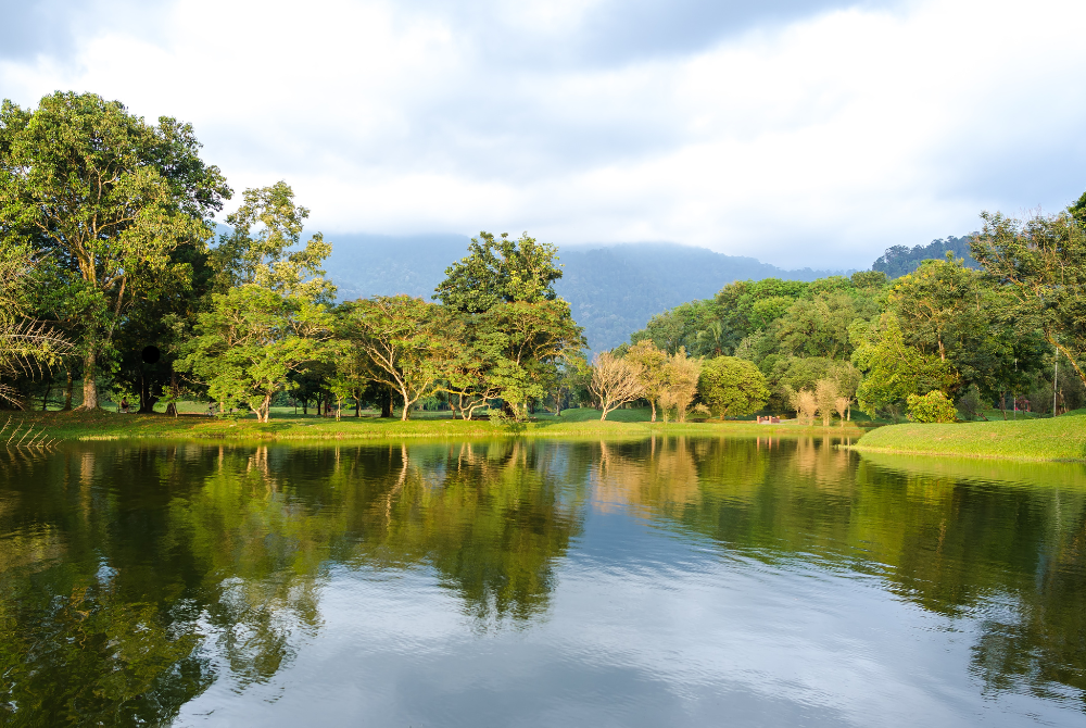 Taiping Lake Garden, Taiping. Photo: Canva