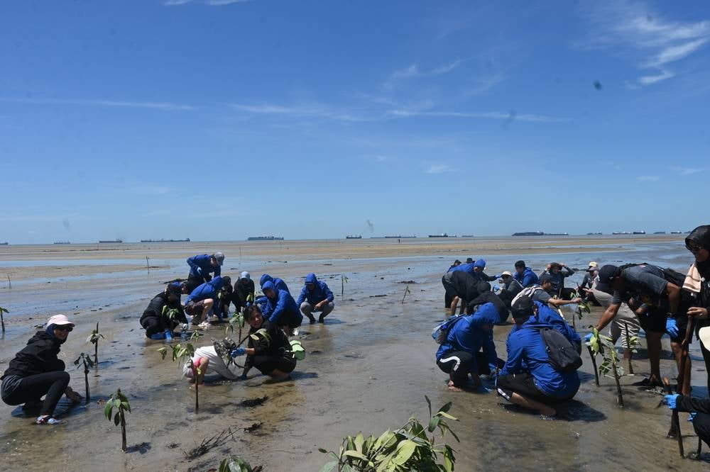 redONE Mobile has further solidified its dedication to environmental preservation through a collaborative initiative with the MMCV.