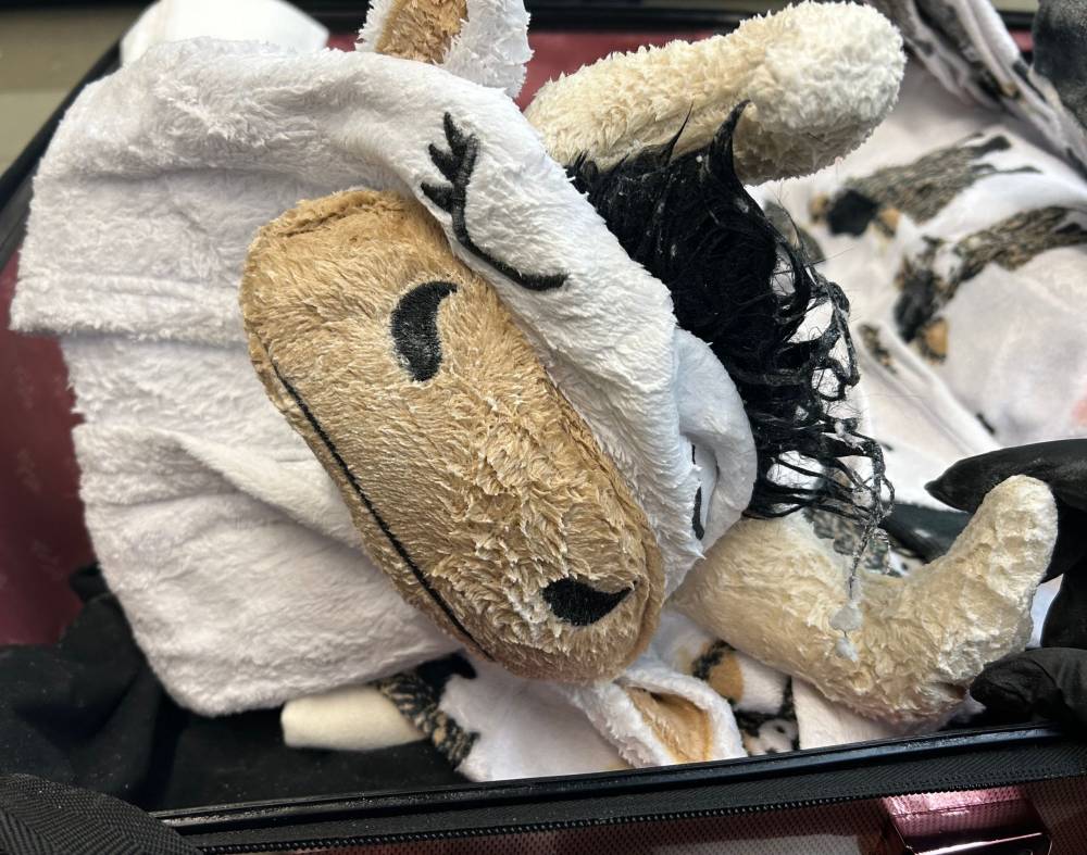 This handout image courtesy of US Department of Justice shows a methamphetamine-soaked cow-pajama seized at LAX on November 6, 2024 from a passenger intending to fly from Los Angeles to Sydney, Australia. - Photo by AFP