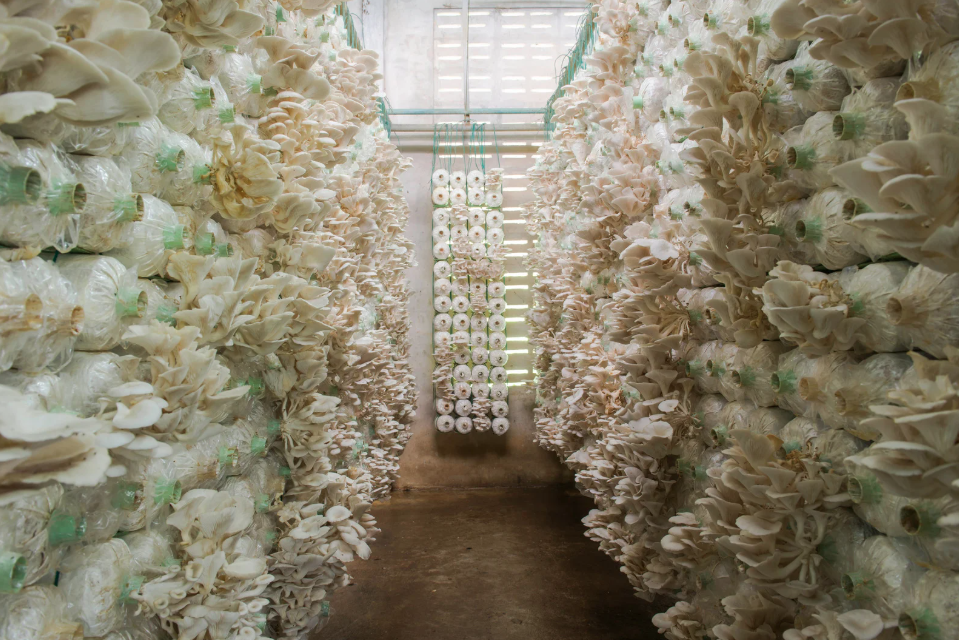 Photo for illustrative purposes only - Canva