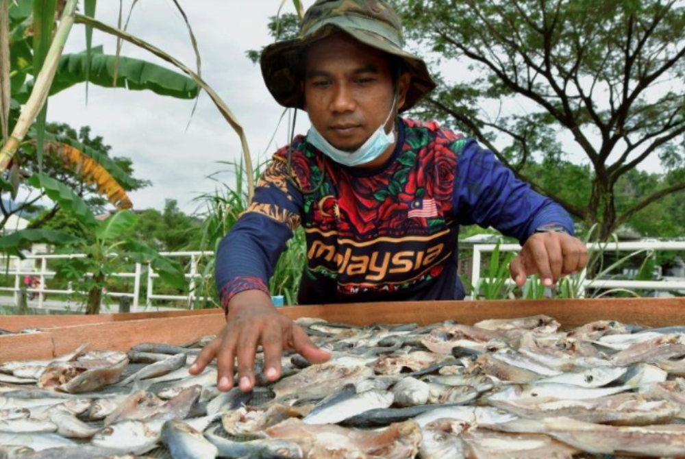 Photo for illustration purpose only. - File photo by Bernama