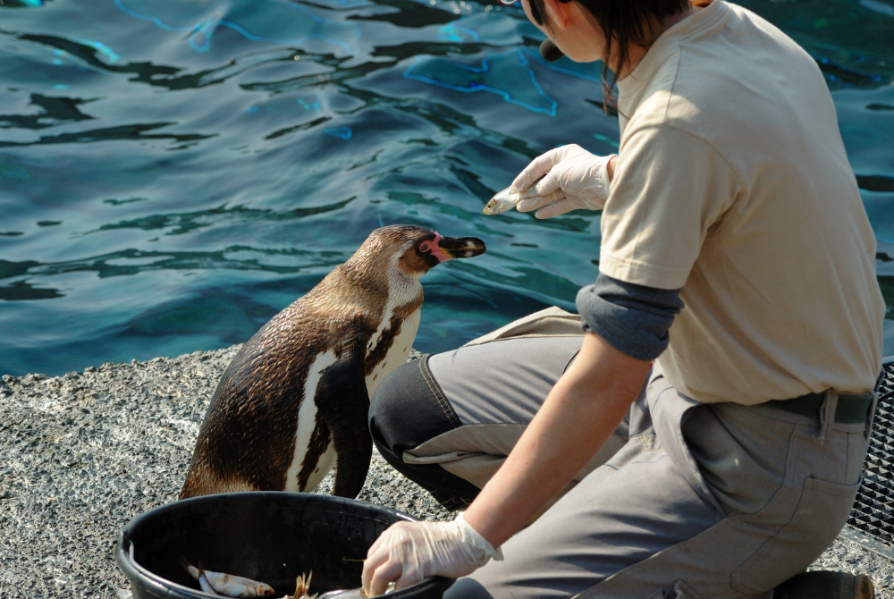 Photo for illustration purpose only. - Photo illustrated via Canva