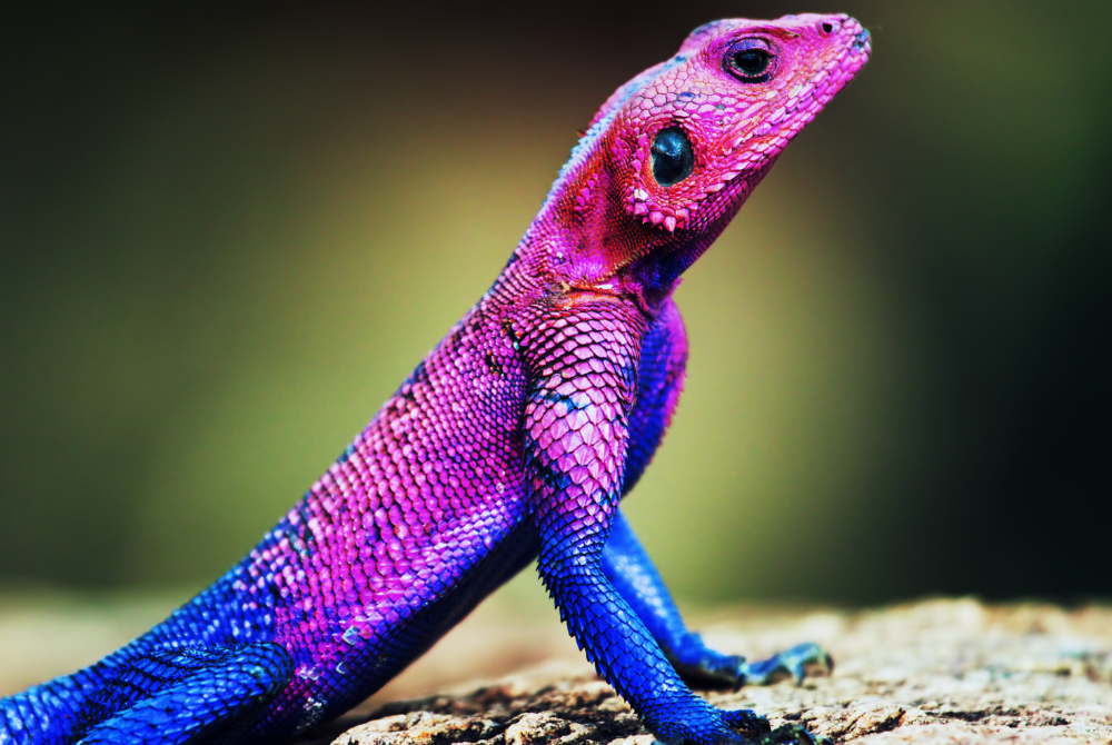 Photo for illustration purpose only. - Illustrated via Canva