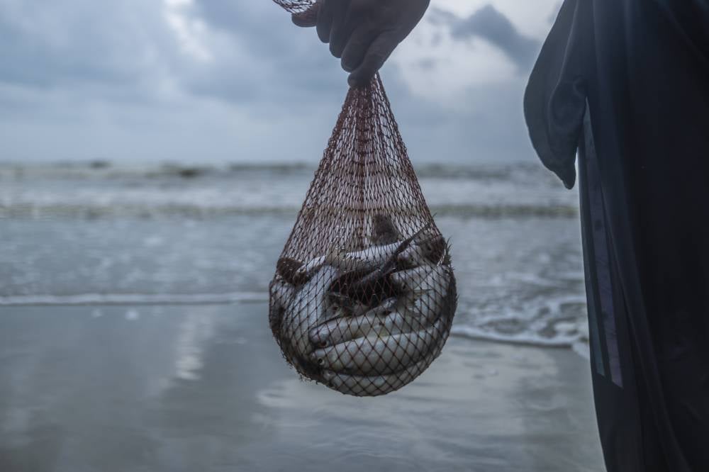 Fishermen brave strong waves crashing along the shoreline to scoop up mullets. - Photo by Bernama