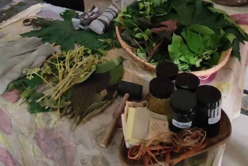 Among the leaves used for producing eco-print batik.