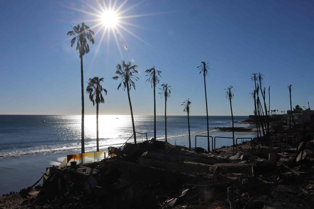 Charred palm trees are silhouetted along Pacific Coast Highway in Malibu, California, as the Palisades Fire continues to grow on January 12, 2025. (Photo by David Swanson / AFP)